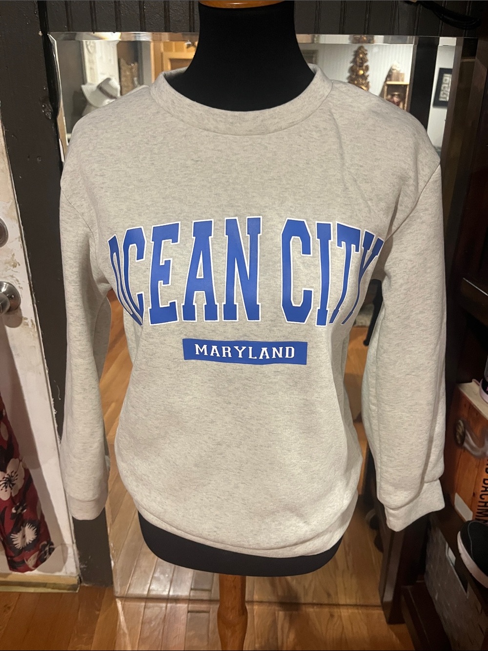 SHEIN Light Gray Crewneck Sweatshirt with Blue "Ocean City" Print